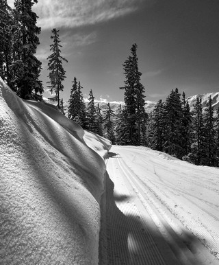 La tania    |   3  /  5    | 